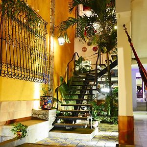 Magic Garden House